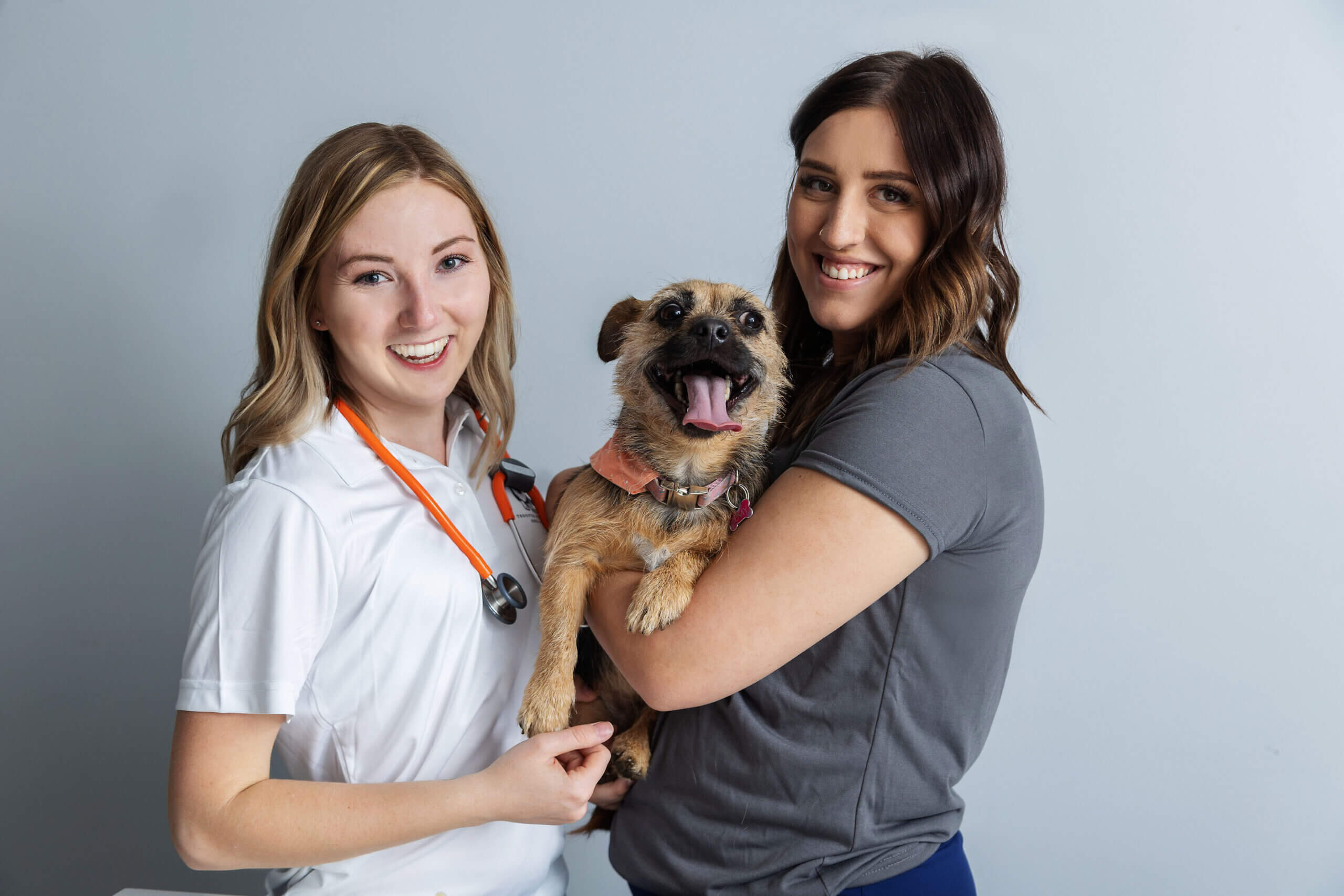 Veterinary Technicians providing in-home service to dog